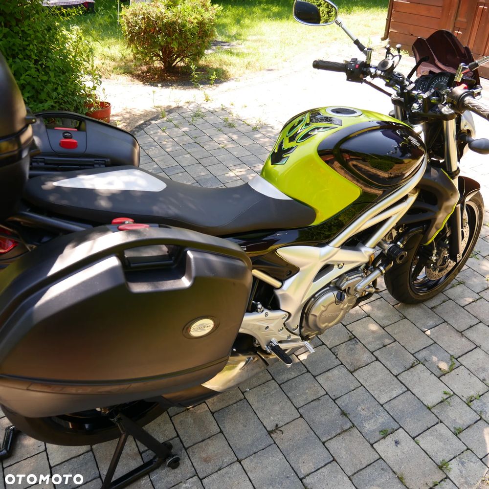 Suzuki Gladius - 14