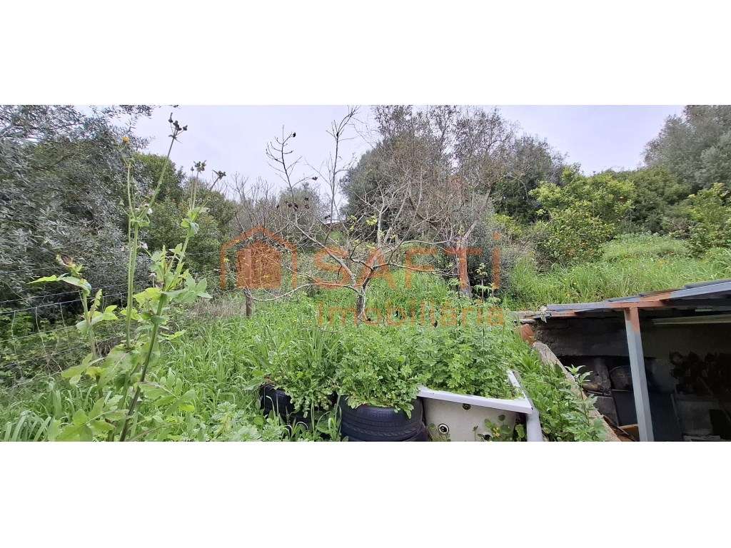 Terreno em Gucherre, Almoster, Santarém (11.880 m²) - Grande imagem: 5/21