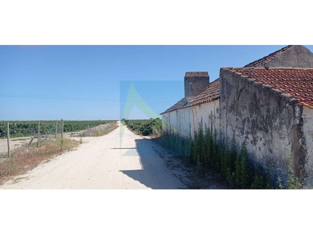 Propriedade Vitivinícola | 130.000 m² | Syrah & Moscatel - Grande imagem: 3/8