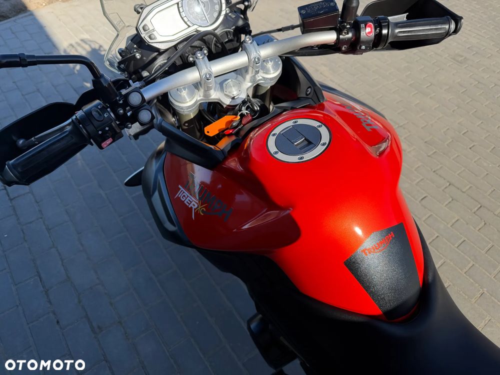 Triumph Tiger - 27