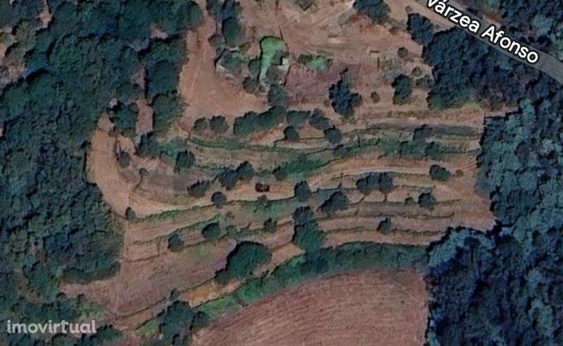 Vende-se Quinta de Oliveiras e Vindimas com 5369.16m2 - Grande imagem: 2/12