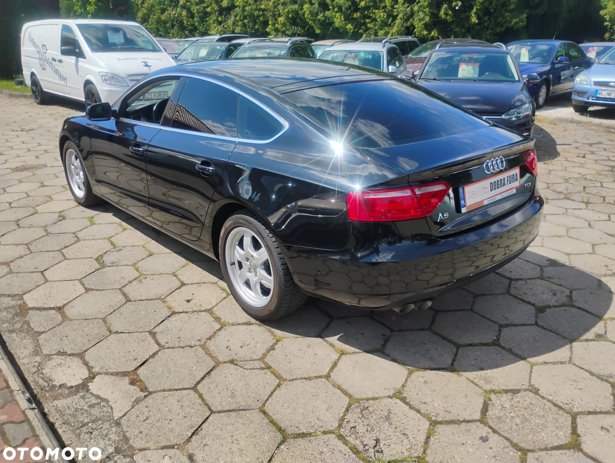 Audi A5 2.0 TDI Sportback DPF - 12