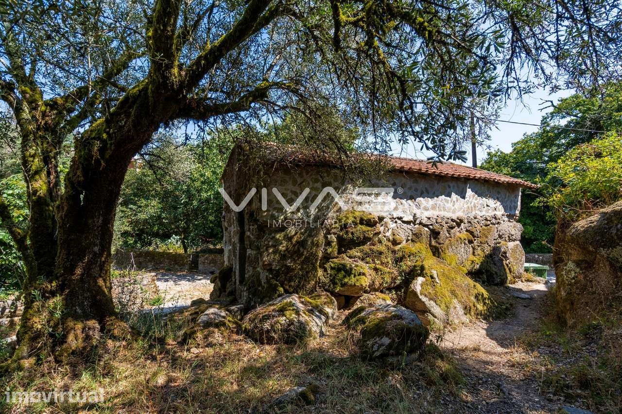 Moradia para Restaurar T0 Venda em Cabril,Montalegre - Grande imagem: 4/31
