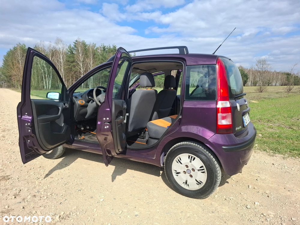 Fiat Panda 1.2 Active - 37