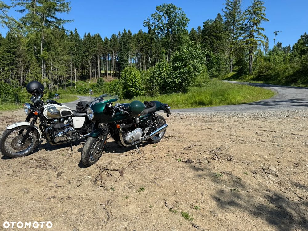 Triumph Thruxton - 6