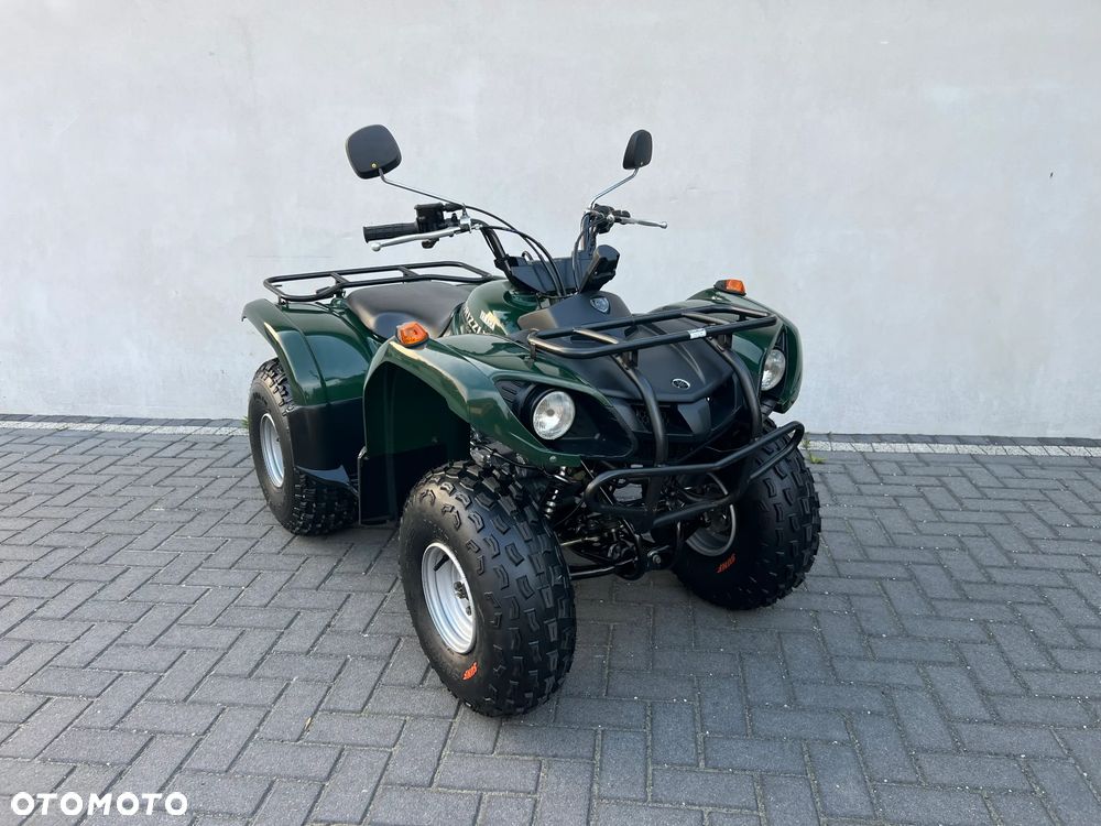 Yamaha Grizzly - 4