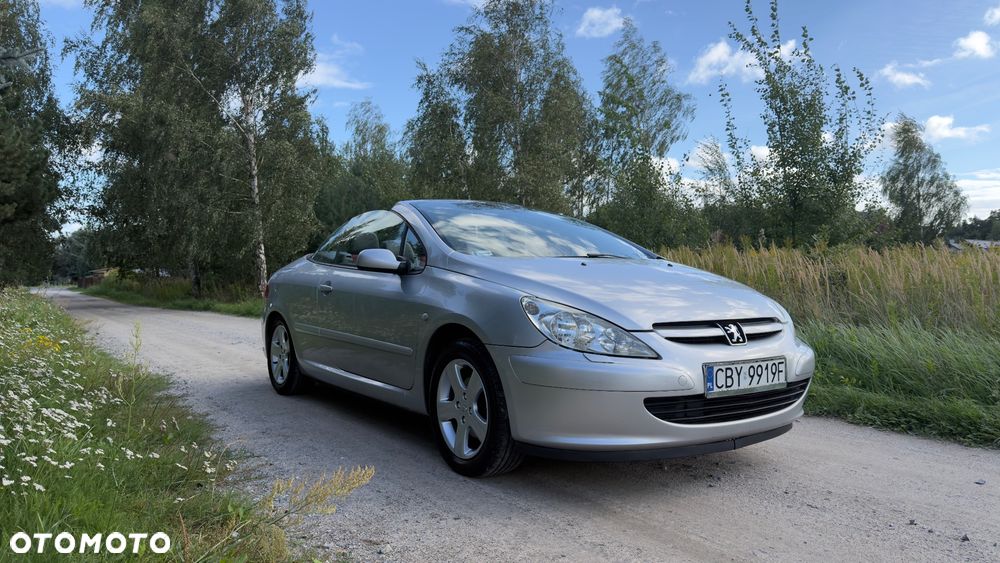 Peugeot 307 - 21