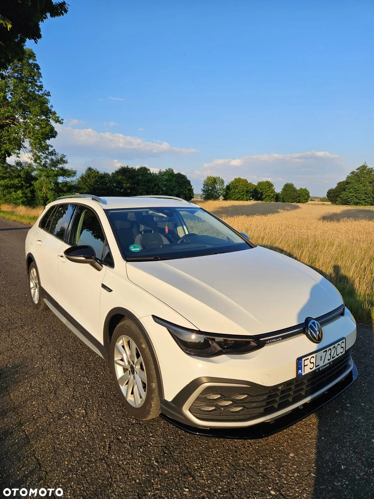 Volkswagen Golf Alltrack 2.0 TDI 4Mot DSG - 2