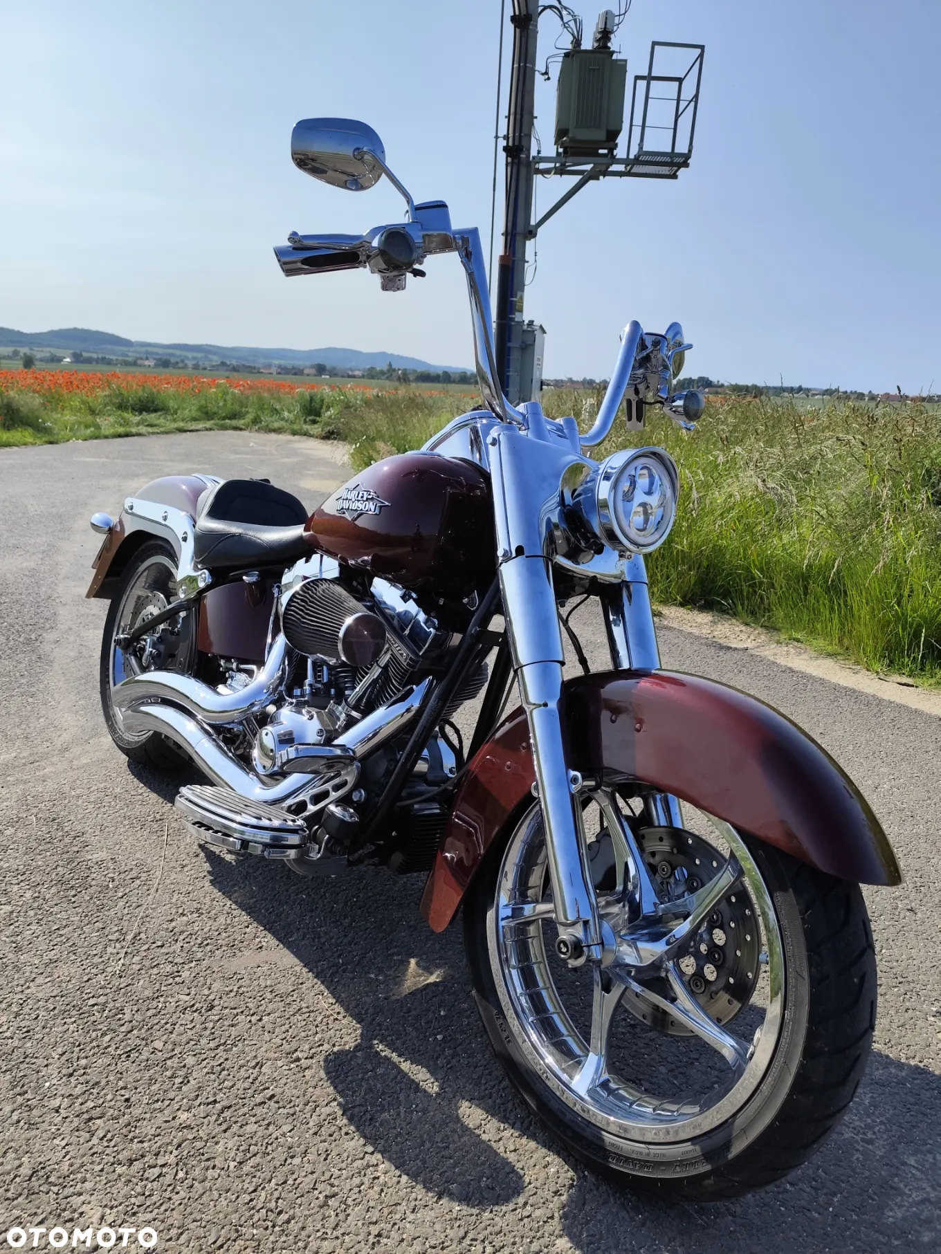 Harley-Davidson Softail - 5