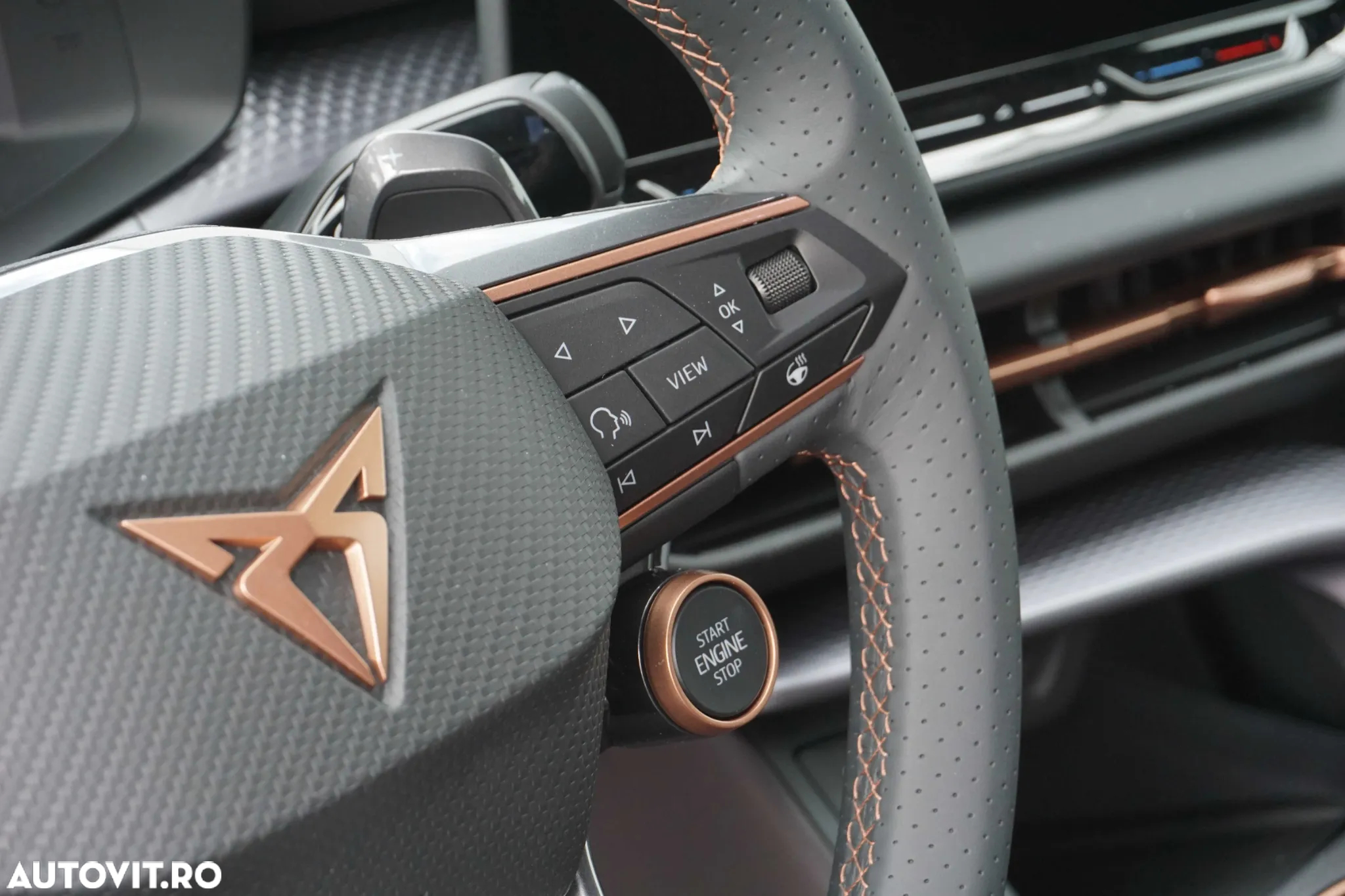 Cupra Terramar - 20