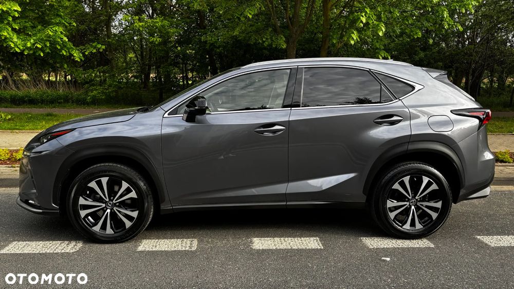 Lexus NX 300 Prestige AWD - 2