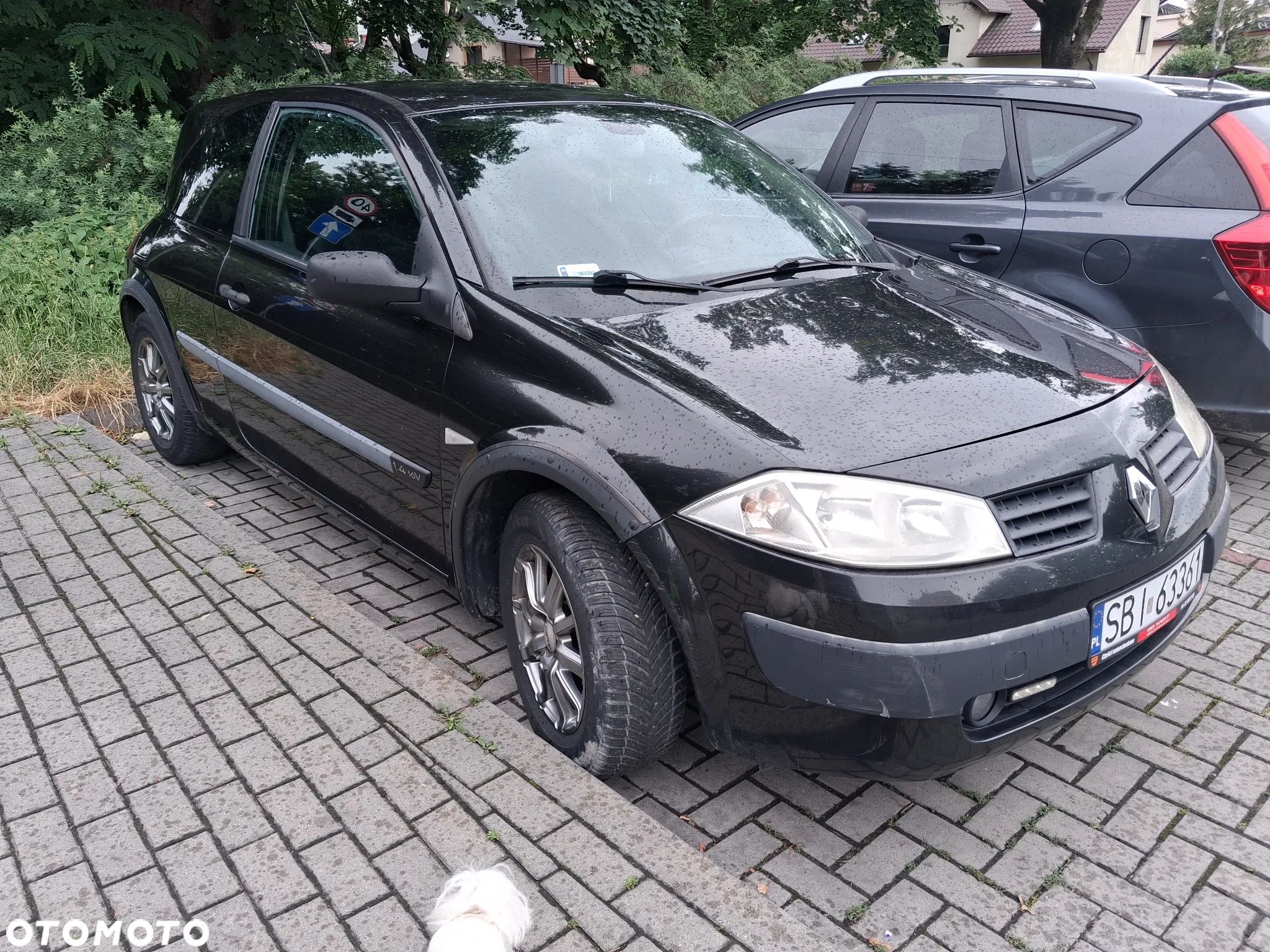 Renault Megane II 1.4 Sport Way - 1