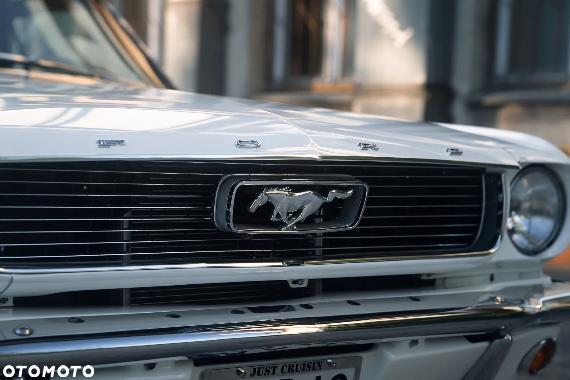 Ford Mustang - 8
