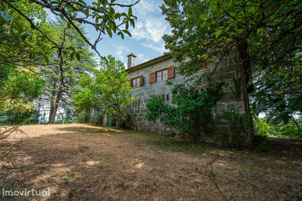 Quinta com 5,5 ha e Projecto Aprovado p/Hotel Rural 4 Estrelas - Viseu - Grande imagem: 2/21