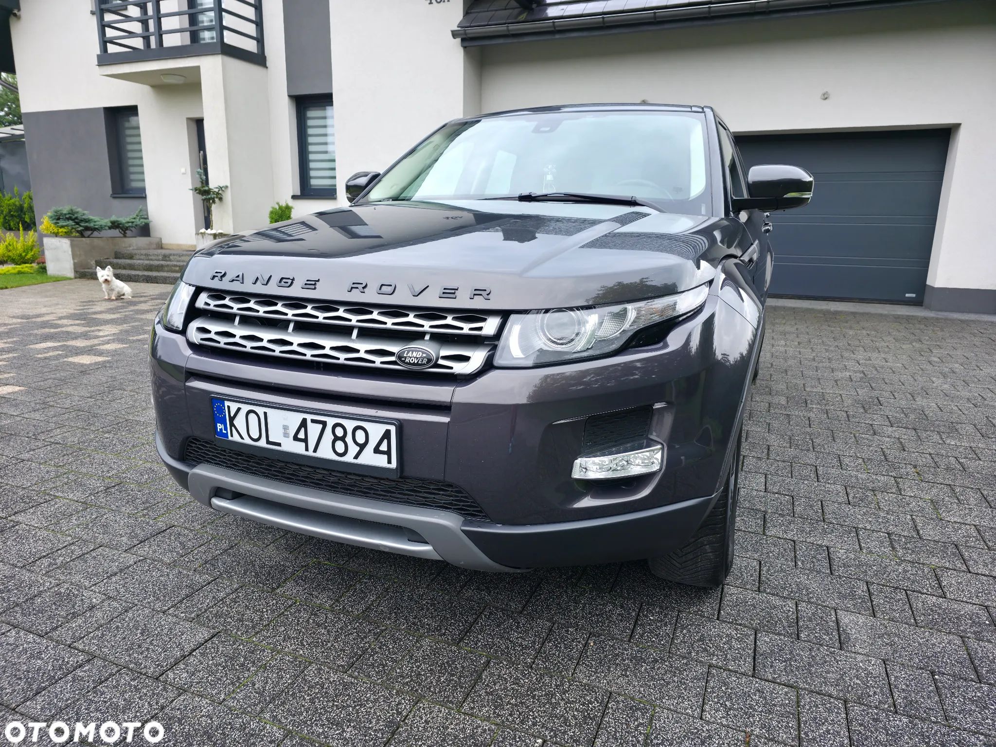 Land Rover Range Rover Evoque 2.2TD4 Dynamic - 1