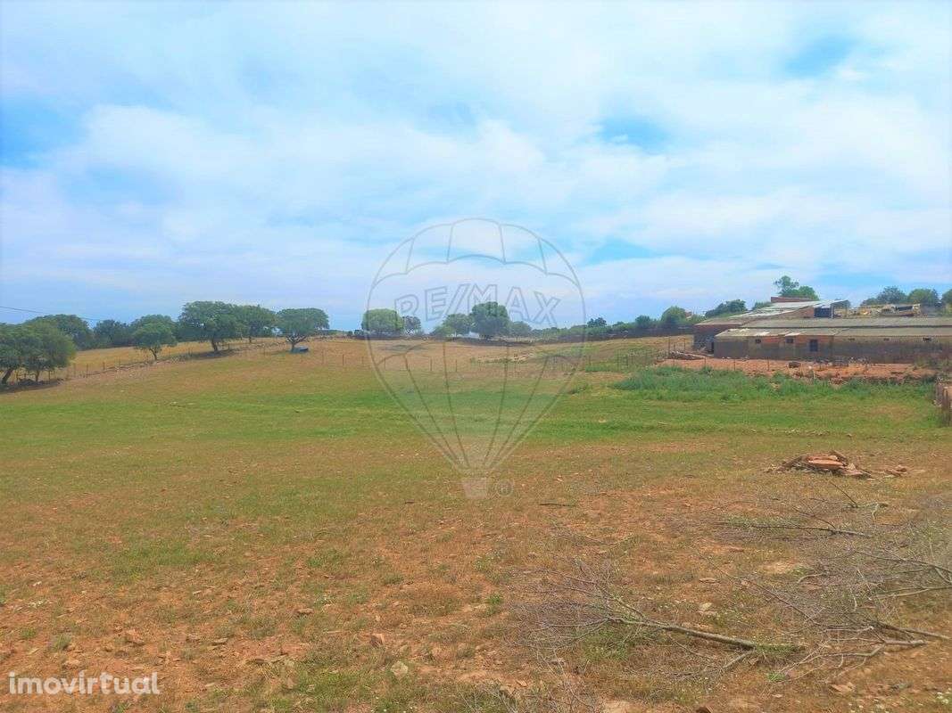 Terreno  para venda - Grande imagem: 3/5