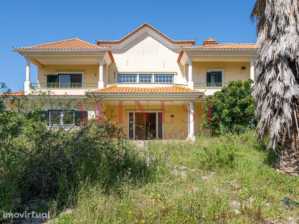 QUINTA COM MORADIA T7 EM BUCELAS - VILA DE REI - Grande imagem: 3/59