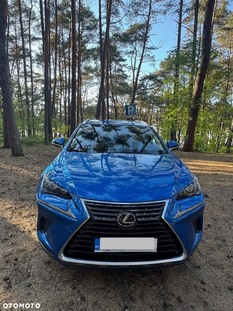 Lexus NX 300 Elegance AWD - 14