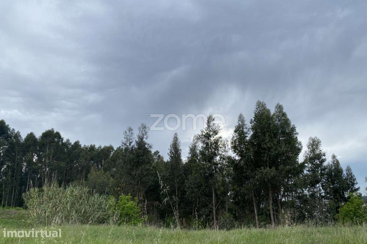 Terreno para Construção | Com 8800m2 - Grande imagem: 5/22