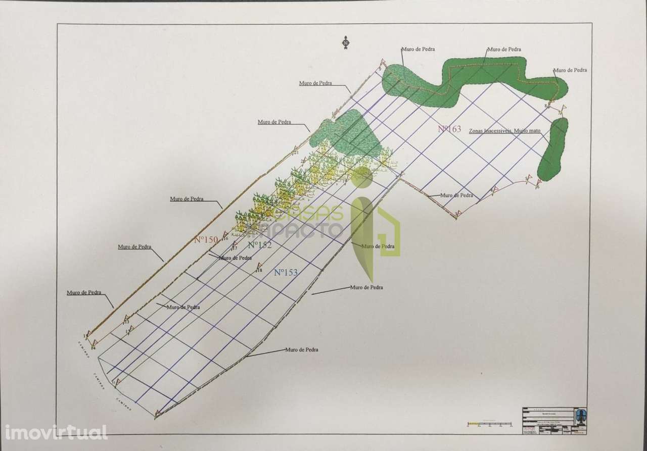 Terreno Rústico com 4.680m2 a venda na Terrugem - Grande imagem: 5/11