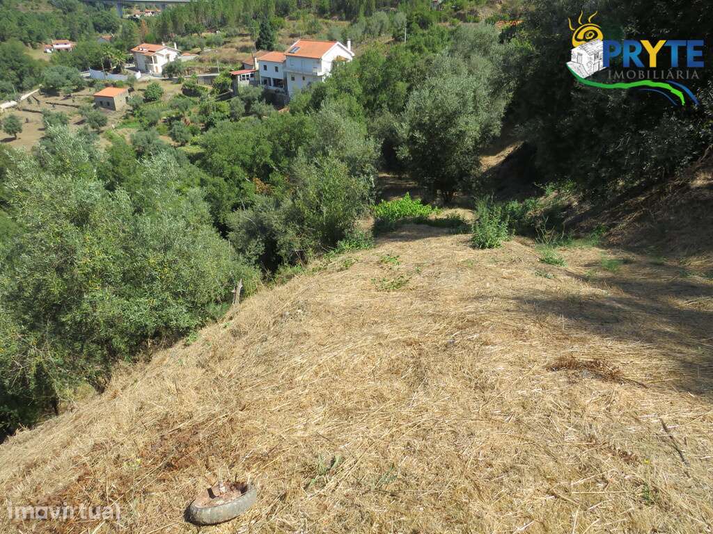Terreno para construção inserido no aglomerado urbano da Vila da Sertã - Grande imagem: 4/14