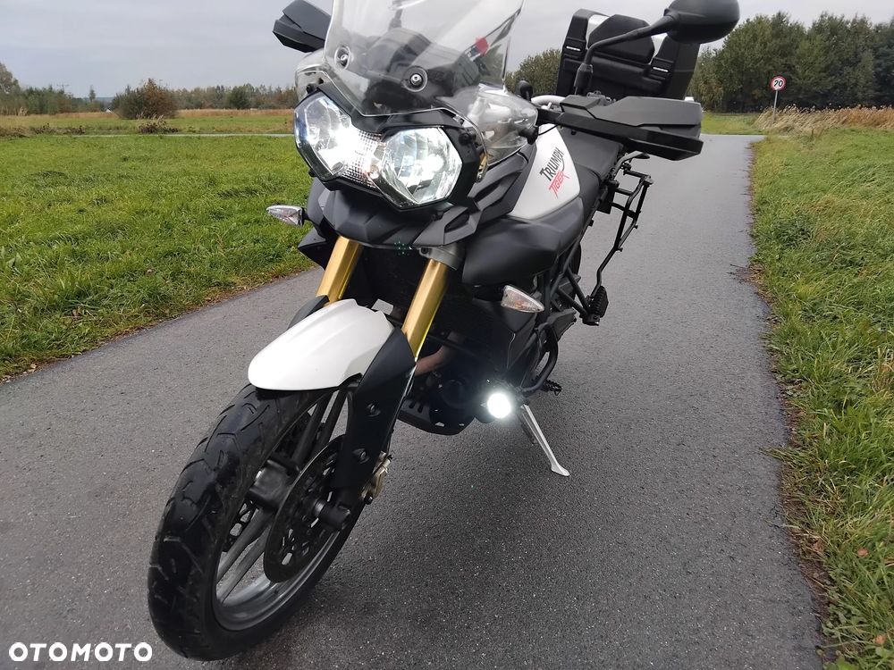 Triumph Tiger - 1