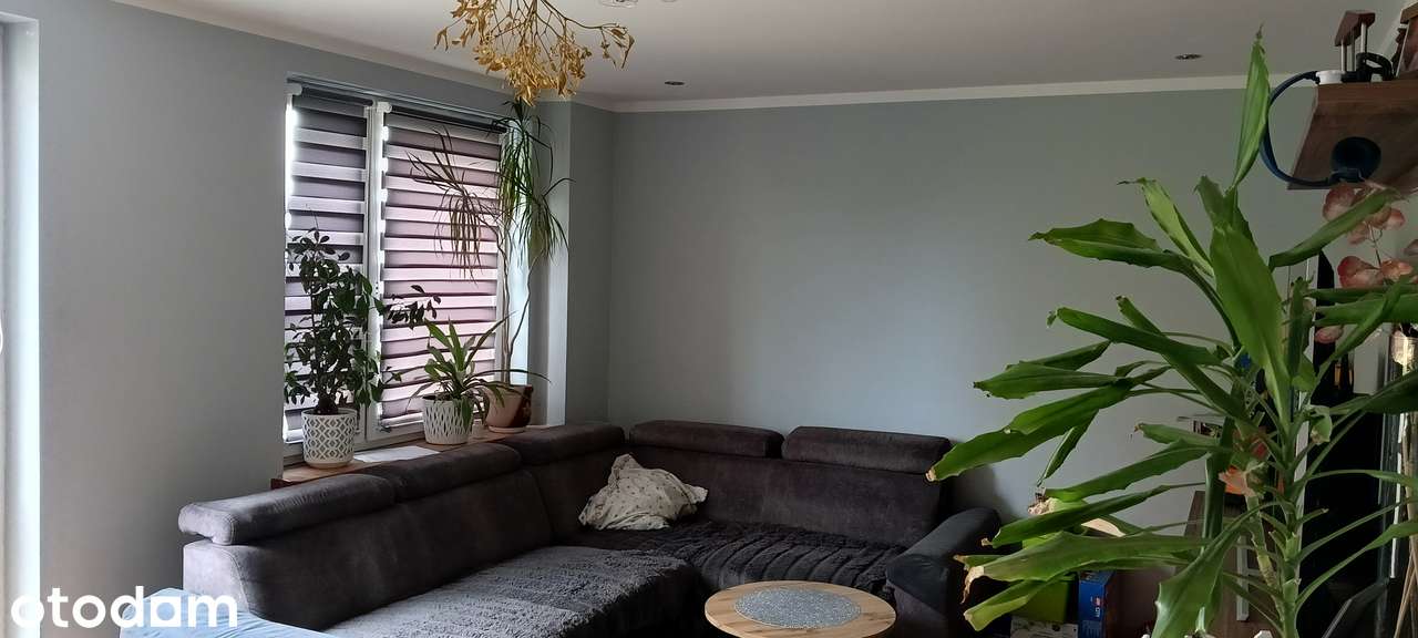 Mieszkanie na sprzedaż, 3 pokoje, 71 m², Chełm