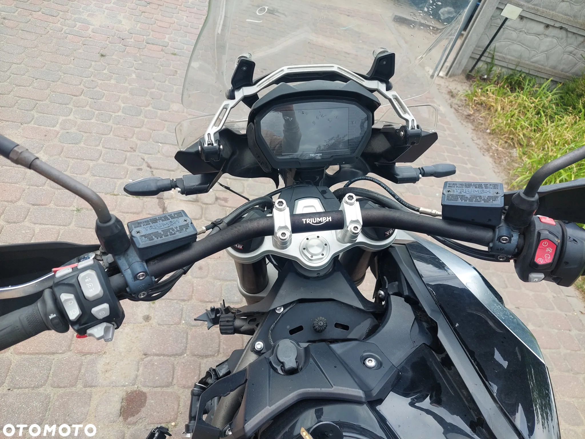 Triumph Tiger - 9