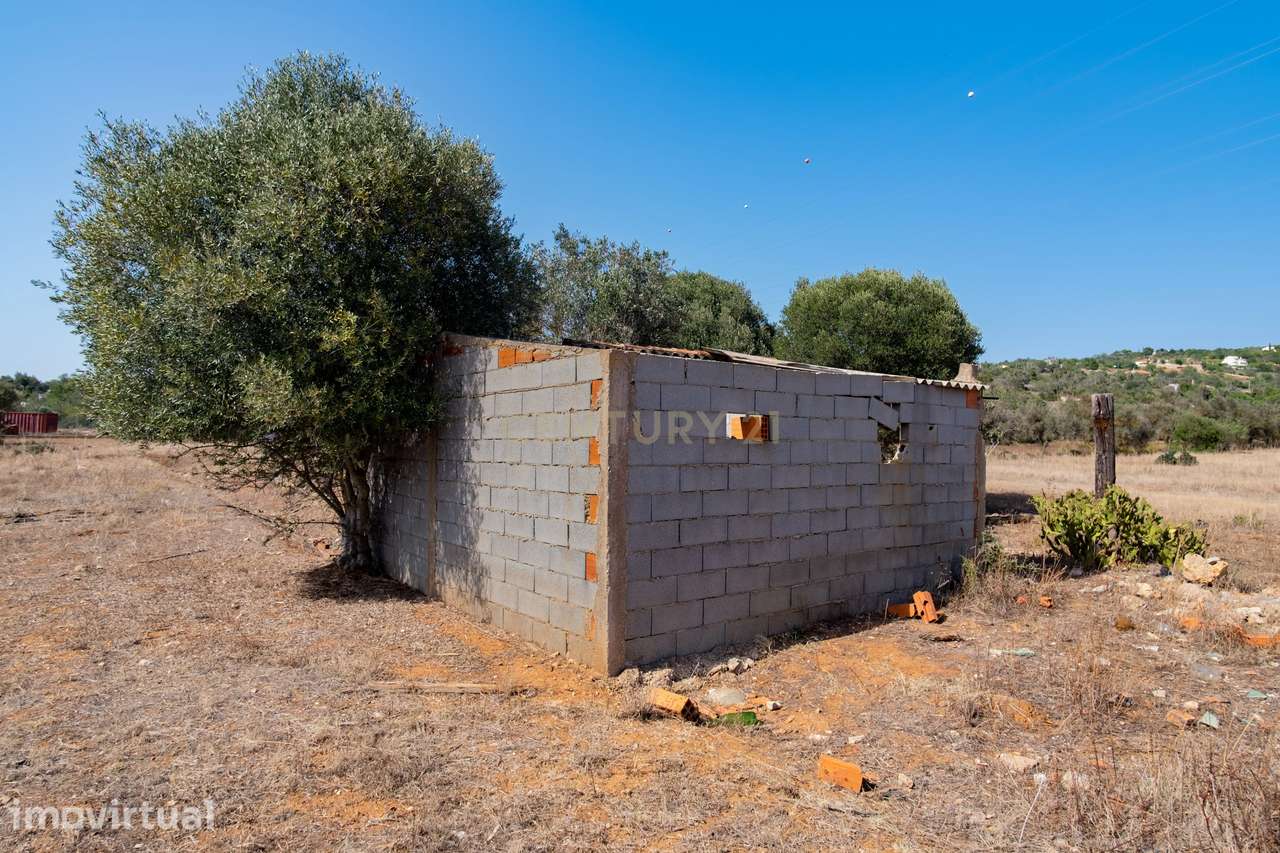 Terreno rustico de 8 040 m2 em Tunes - Grande imagem: 4/7