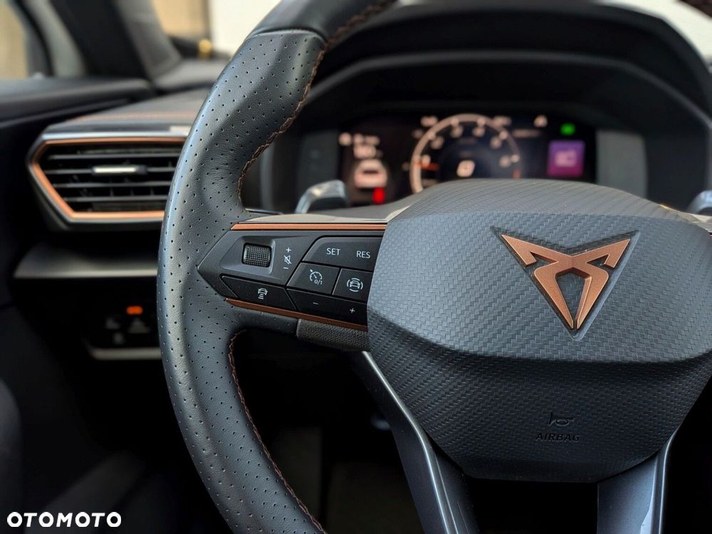 Cupra Formentor 2.0 TSI 4Drive DSG - 22