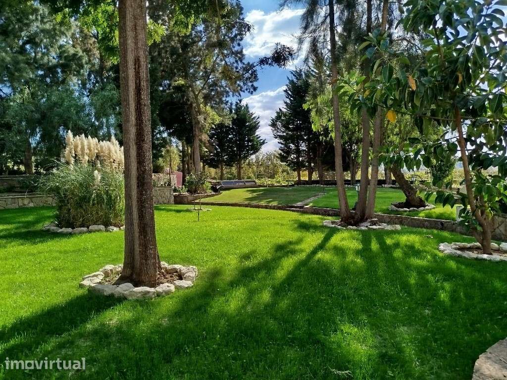 Quinta para venda em Vila Franca de Xira - Grande imagem: 2/17
