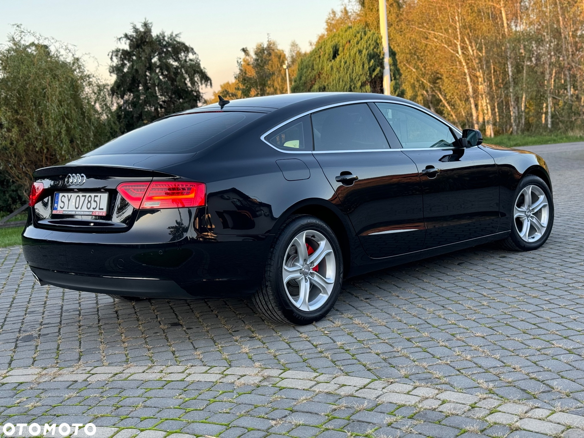 Audi A5 2.0 TDI Multitronic - 7
