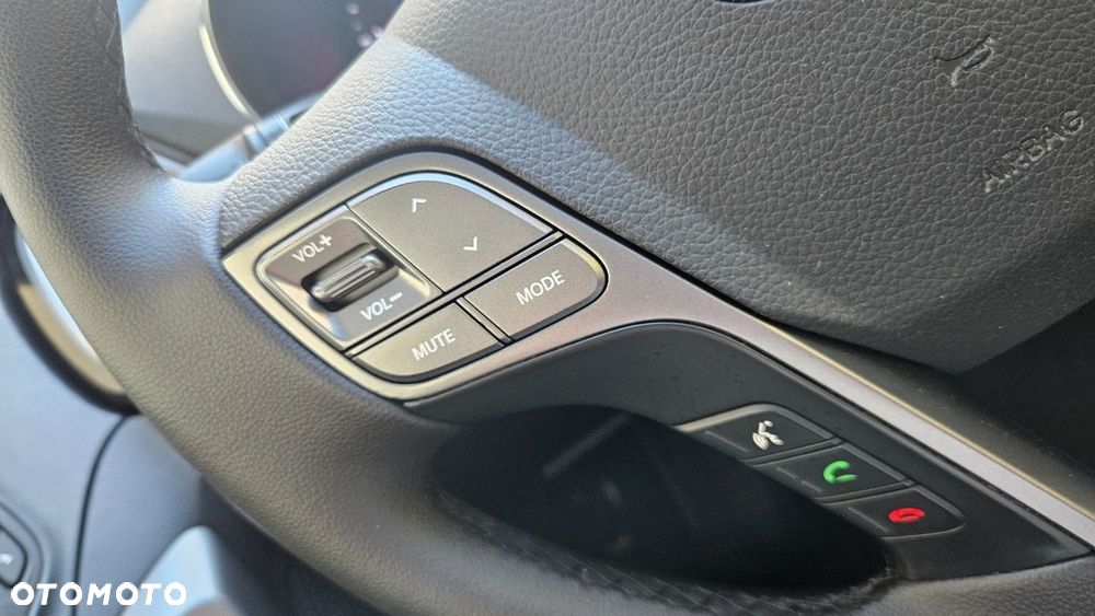 Hyundai Santa Fe - 22