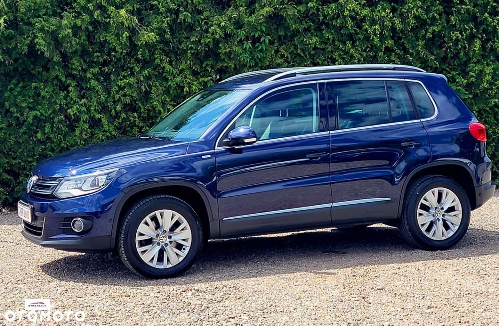 Volkswagen Tiguan - 16