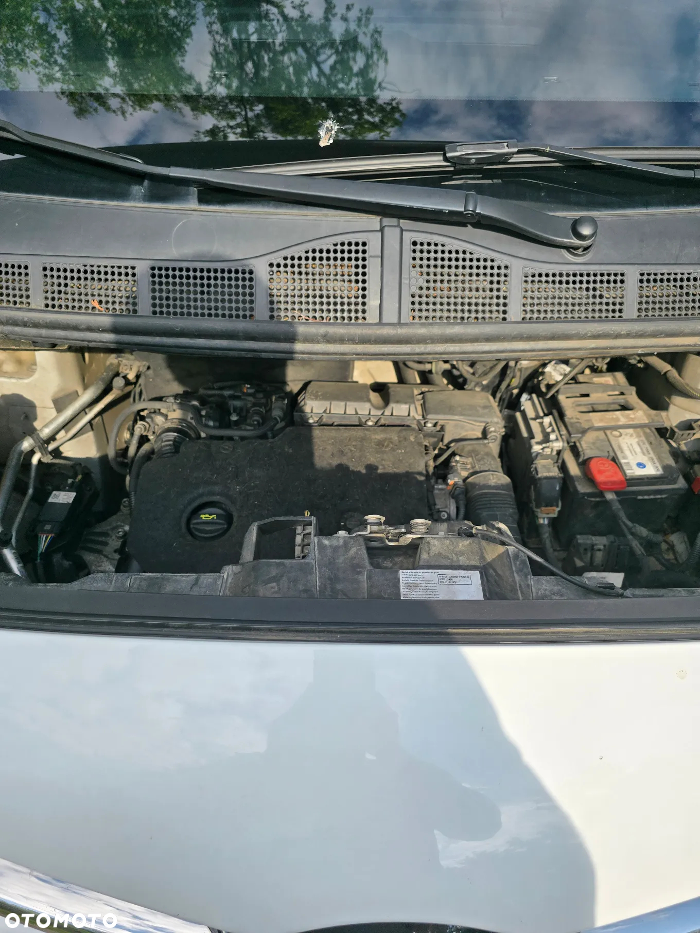 Toyota Proace - 26