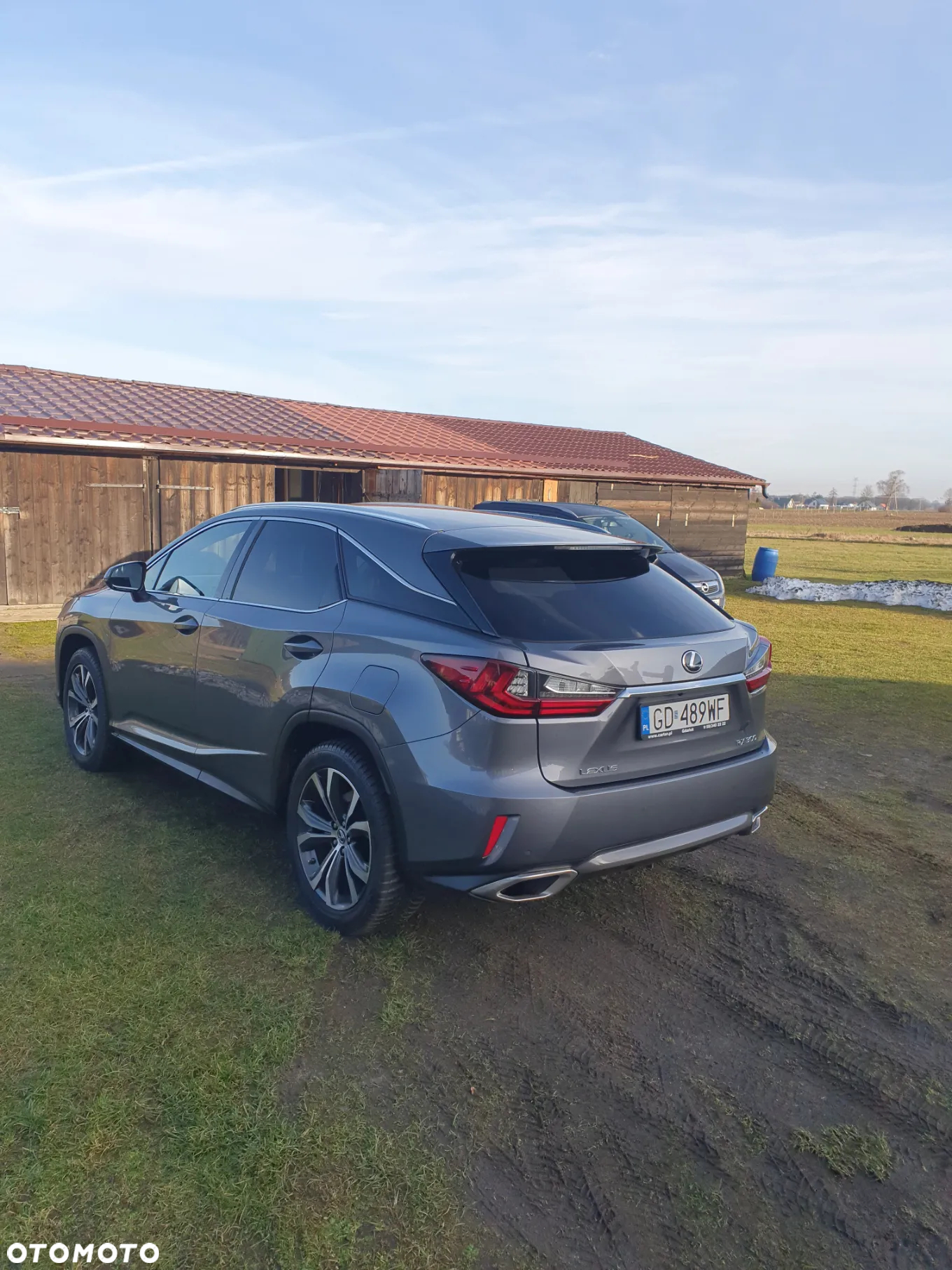 Lexus RX 200t / 300 Elegance - 8