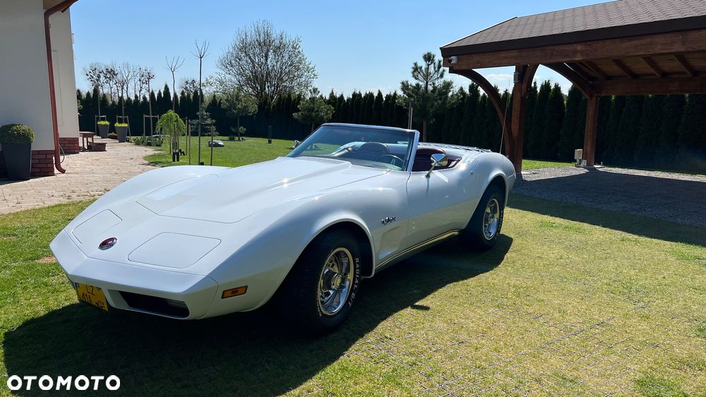 Chevrolet Corvette - 33
