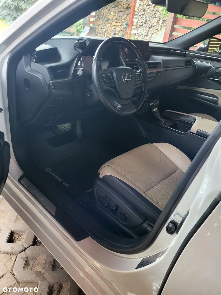 Lexus ES 300h Omotenashi - 22