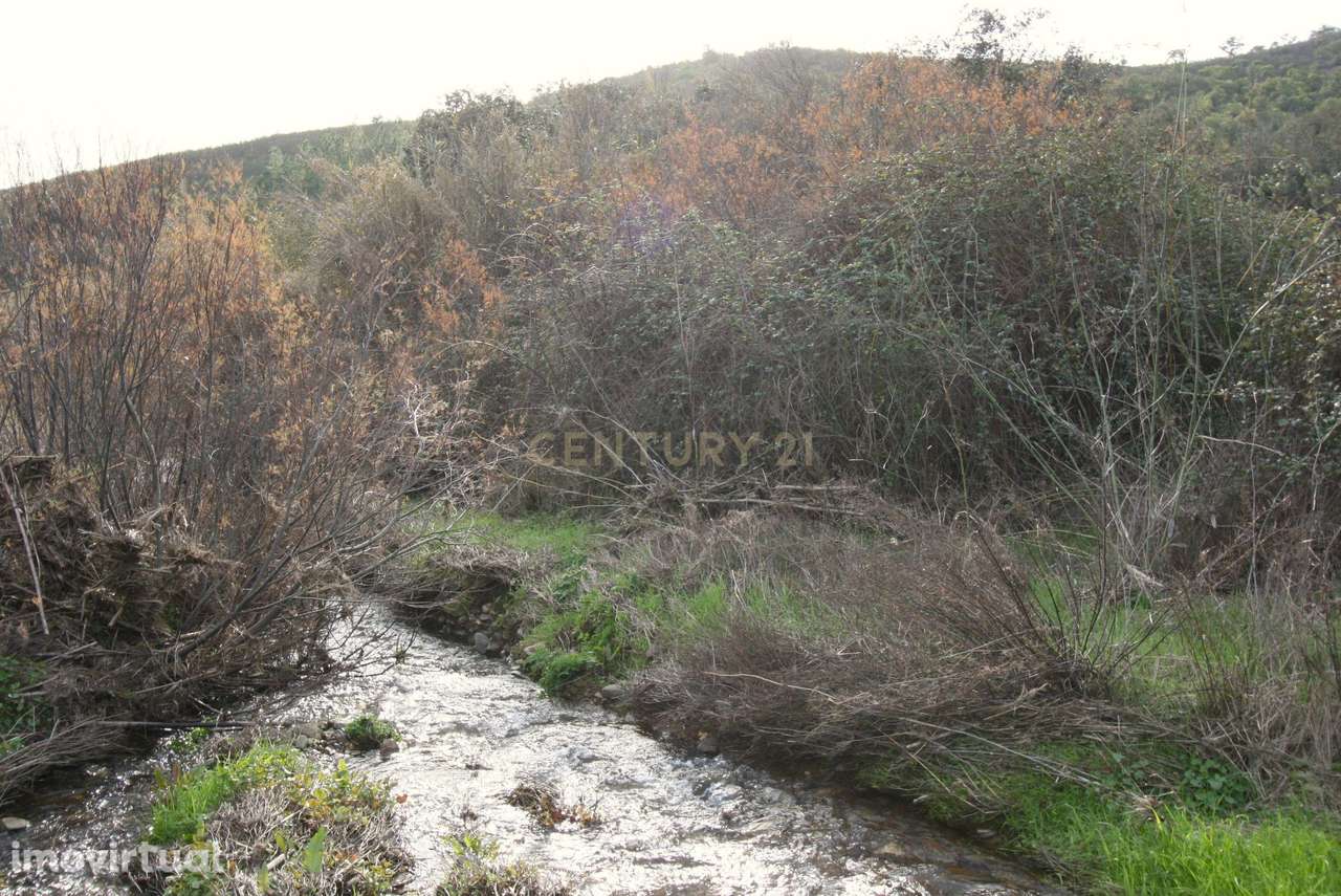 Amplo terreno rústico com sobreiros maduros em Vale Fontes de Baixo, S - Grande imagem: 4/14
