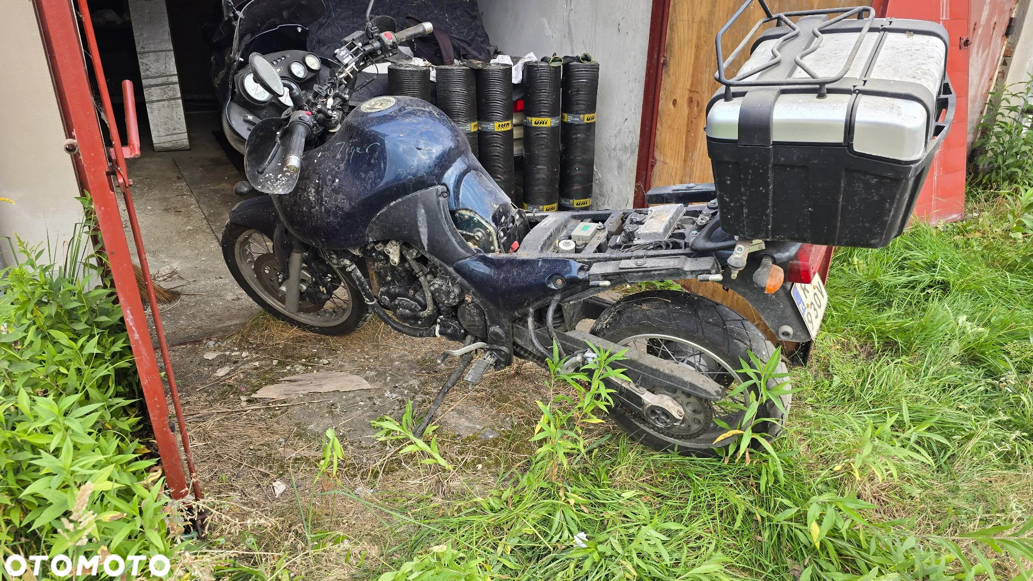 Triumph Tiger - 5
