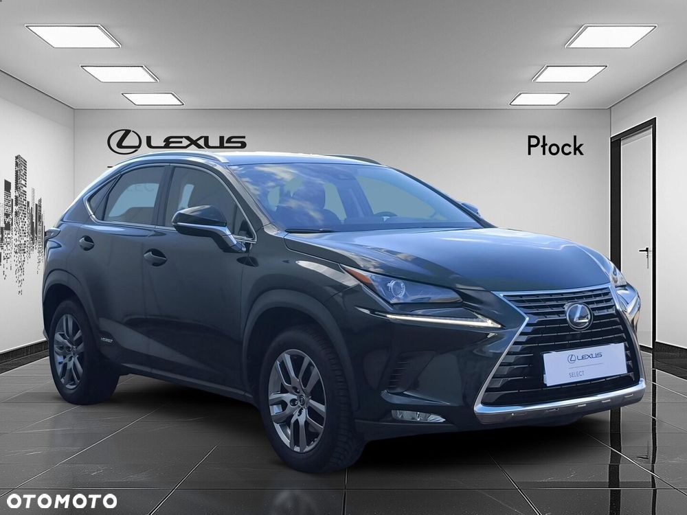 Lexus NX 300h Business Edition AWD - 7