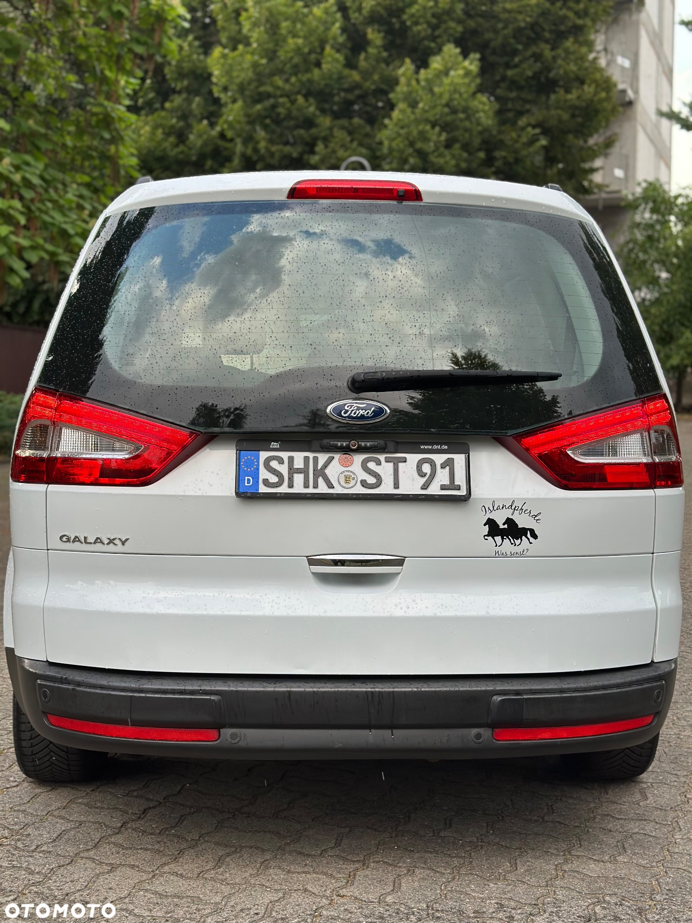 Ford Galaxy 2.0 TDCi Platinium X (Titanium) MPS6 - 8