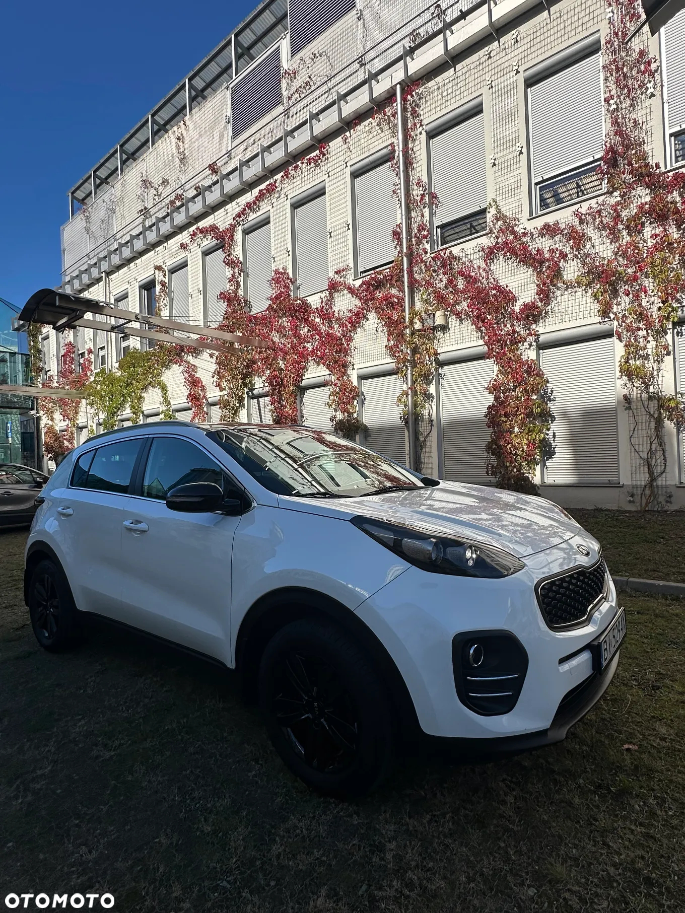 Kia Sportage 1.6 GDI Business Line 2WD - 36