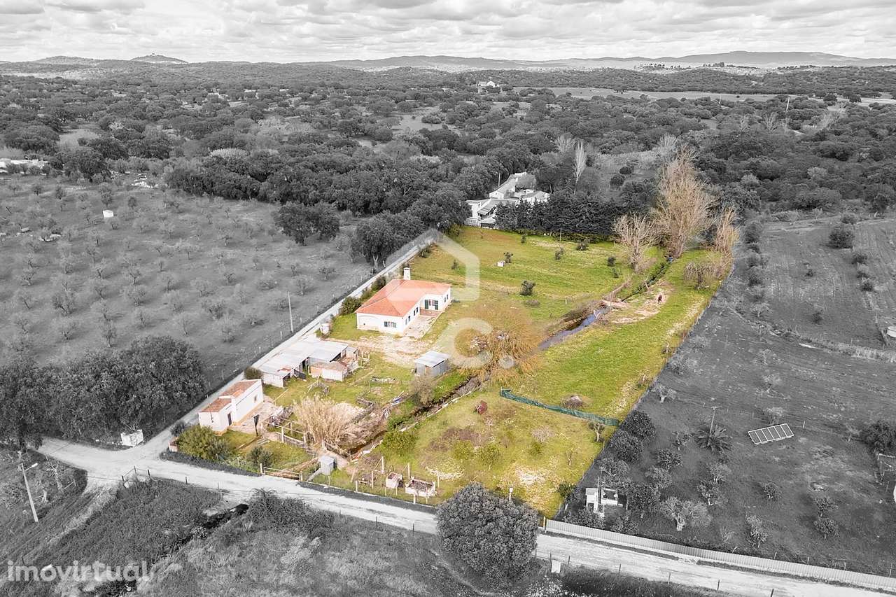 Quinta de 0,7 ha com Moradia T4 e Anexos | Azaruja, Évora - Grande imagem: 3/60