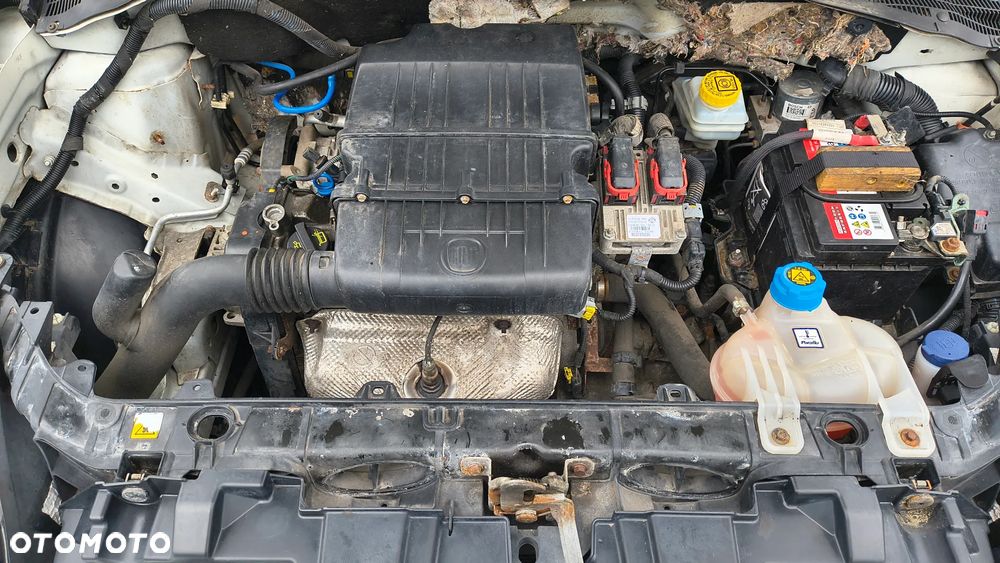 Fiat Punto - 18