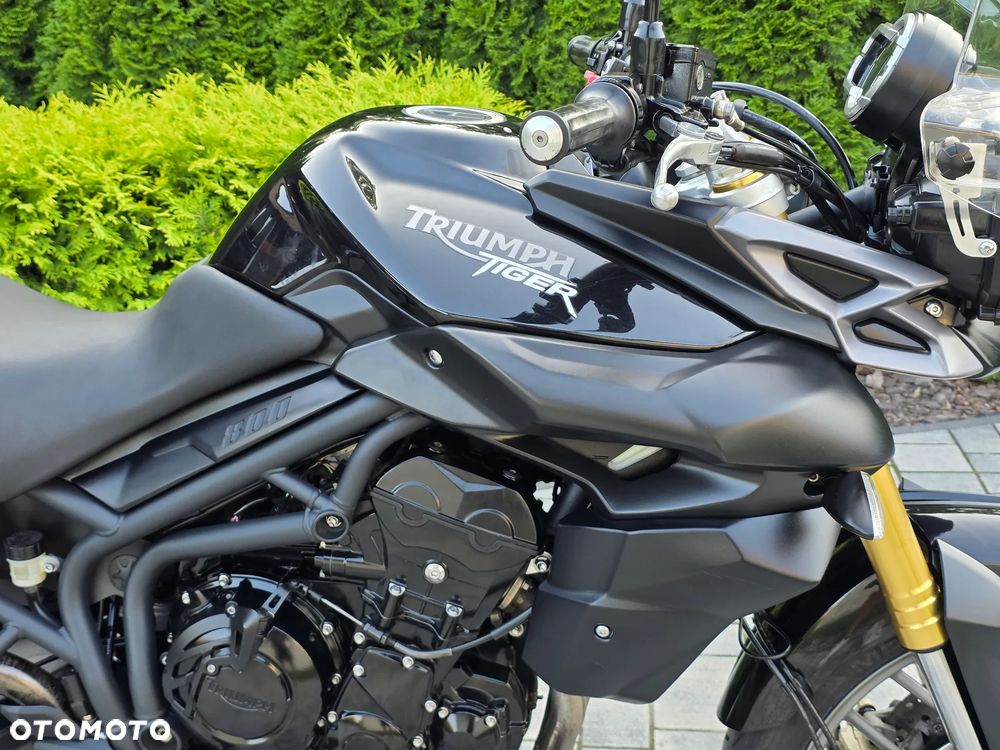 Triumph Tiger - 7