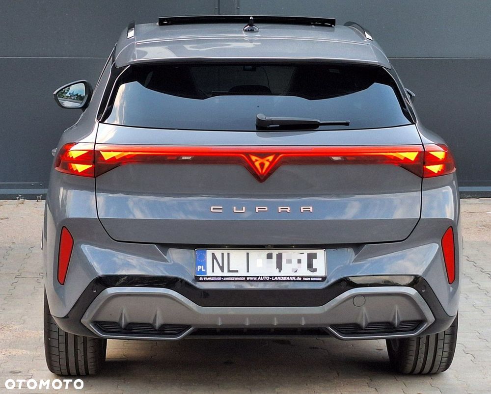 Cupra Terramar - 9
