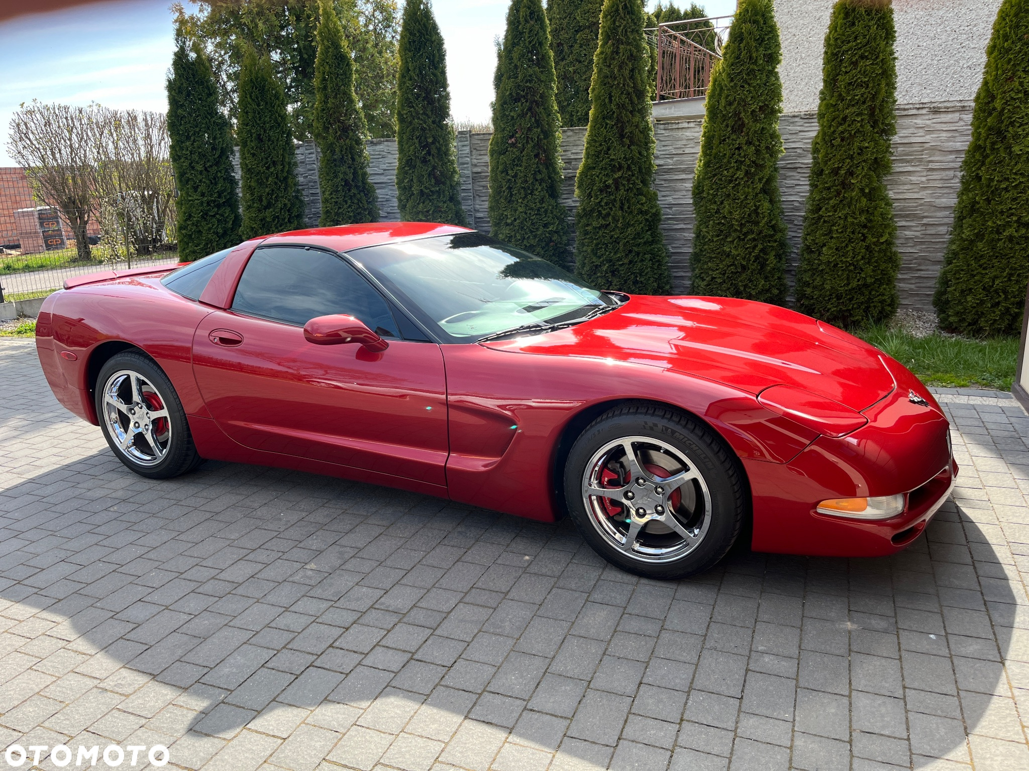 Chevrolet Corvette Cabrio SB - 9
