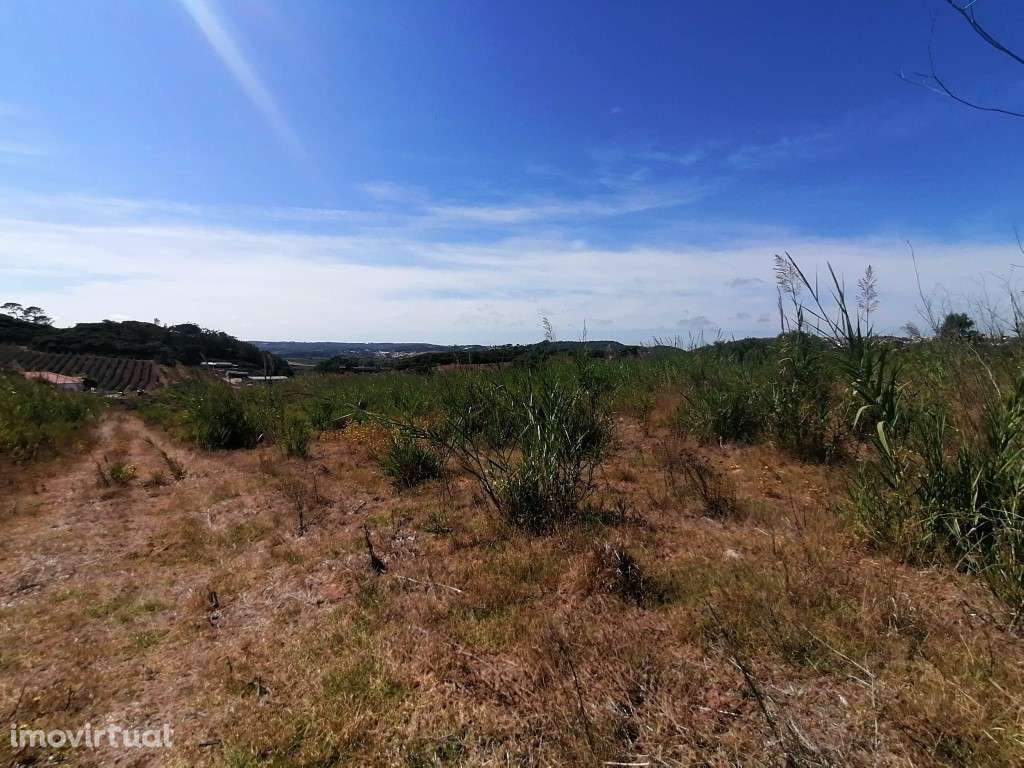 Terreno com projeto aprovado entre Óbidos e Bombarral - Grande imagem: 5/17