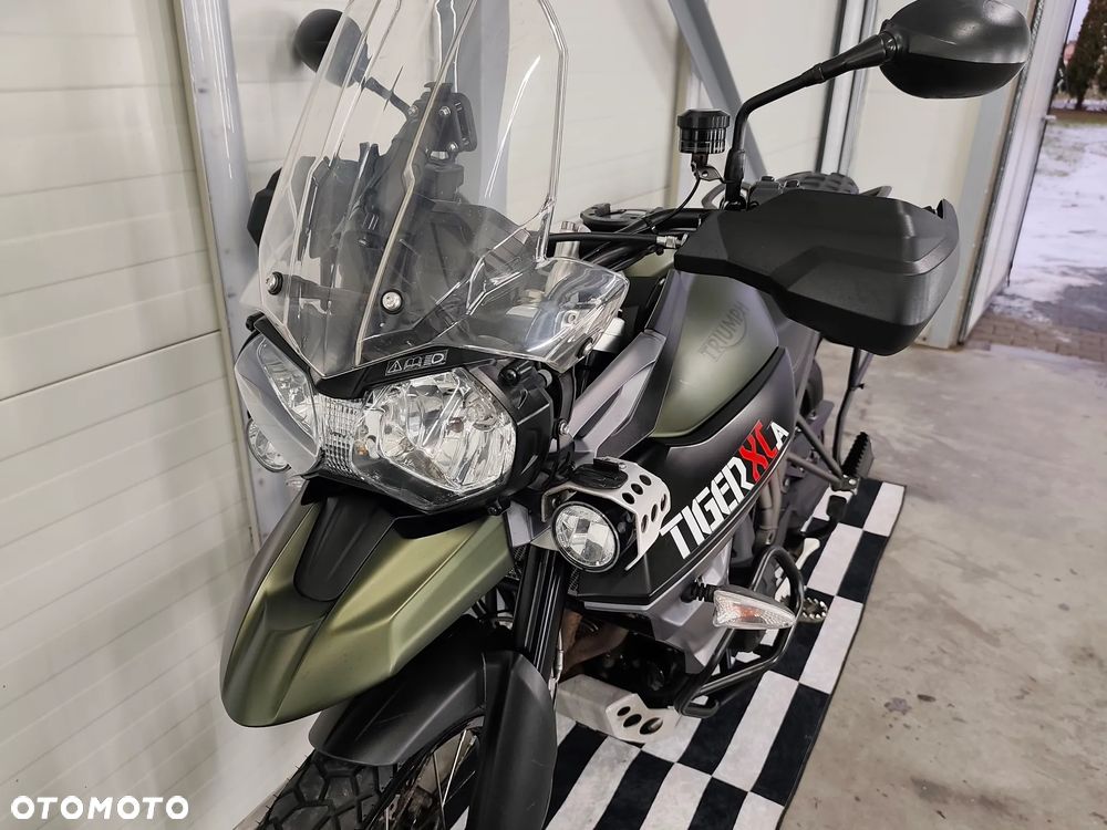 Triumph Tiger - 17